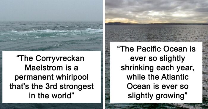 23 Facts About The Ocean And What Lies In It That People In This Online Were Surprised To Learn