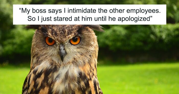 132 Of The Best Office Jokes The Internet Has To Offer