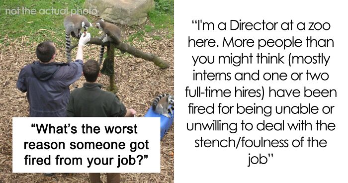 30 Legit, Wild Or Weird Reasons People Got Fired From Their Jobs, As Shared In This Online Group