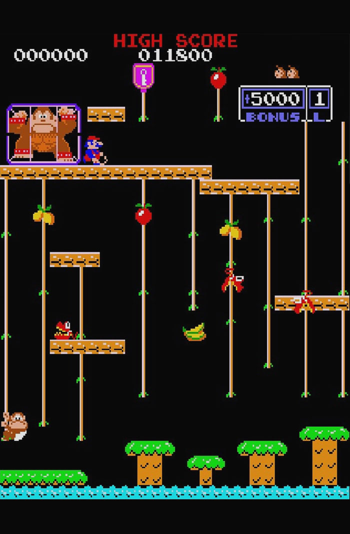 Donkey Kong Jr.