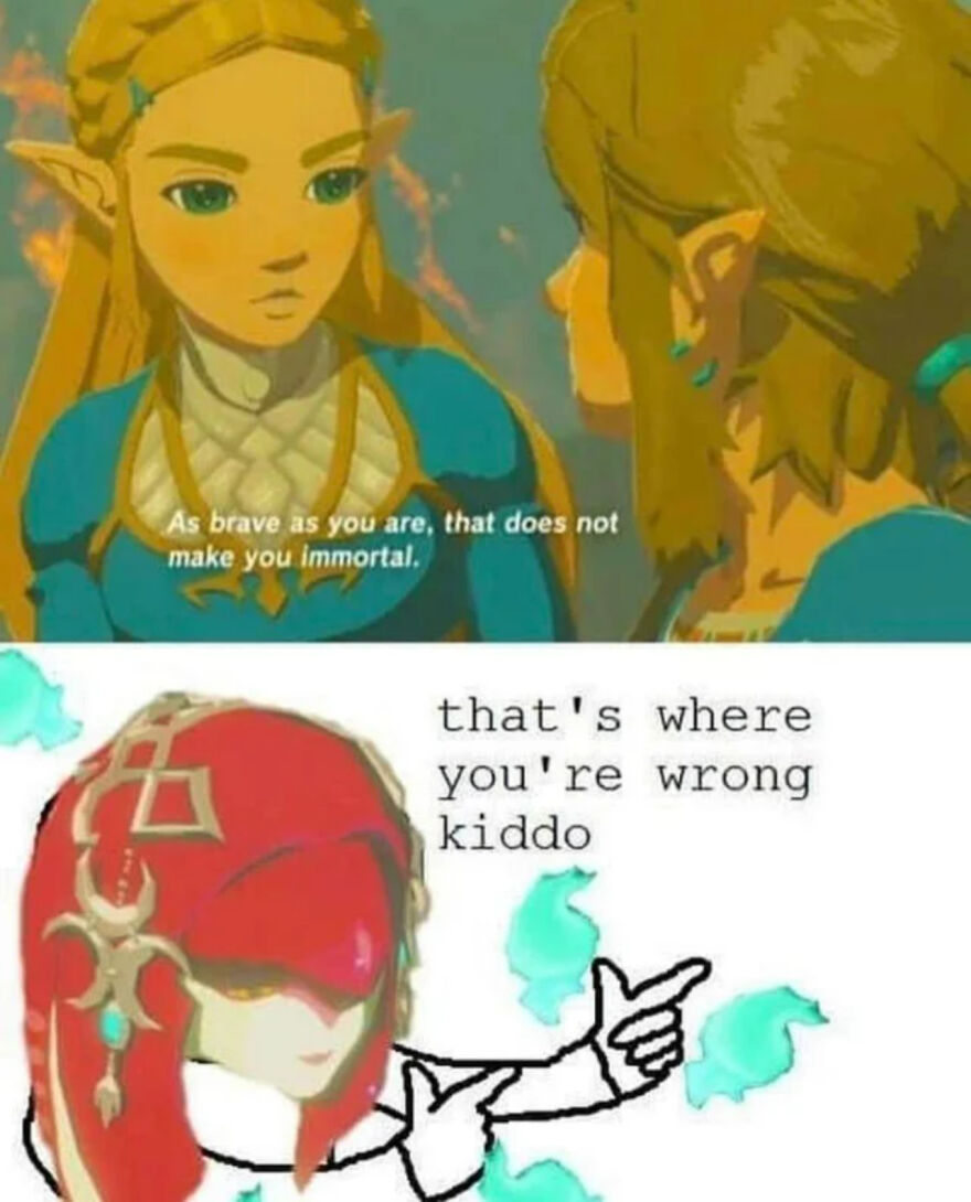 28 Breath Of The Wild Memes I Found On Google