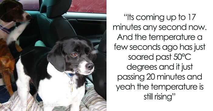 To Show How Dangerous It Is To Leave A Dog In A Car On A Hot Day, RSPCA Officer Trapped Himself In A Car For 25 Minutes