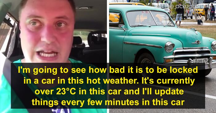 Man Records Himself Sitting In His Car For 25 Minutes On A Hot Day To Discover What It Would Feel Like To Be A Dog