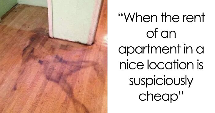 30 Of The Most Chucklesome Memes And Posts About Property Owners And Renting, As Shared By The “Slumlords Gone Wild” Instagram Page