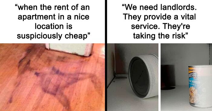 The “Slumlords Gone Wild” Instagram Page Shares Memes Related To Renting Property, Here Are 40 Of Its Most Relatable Posts