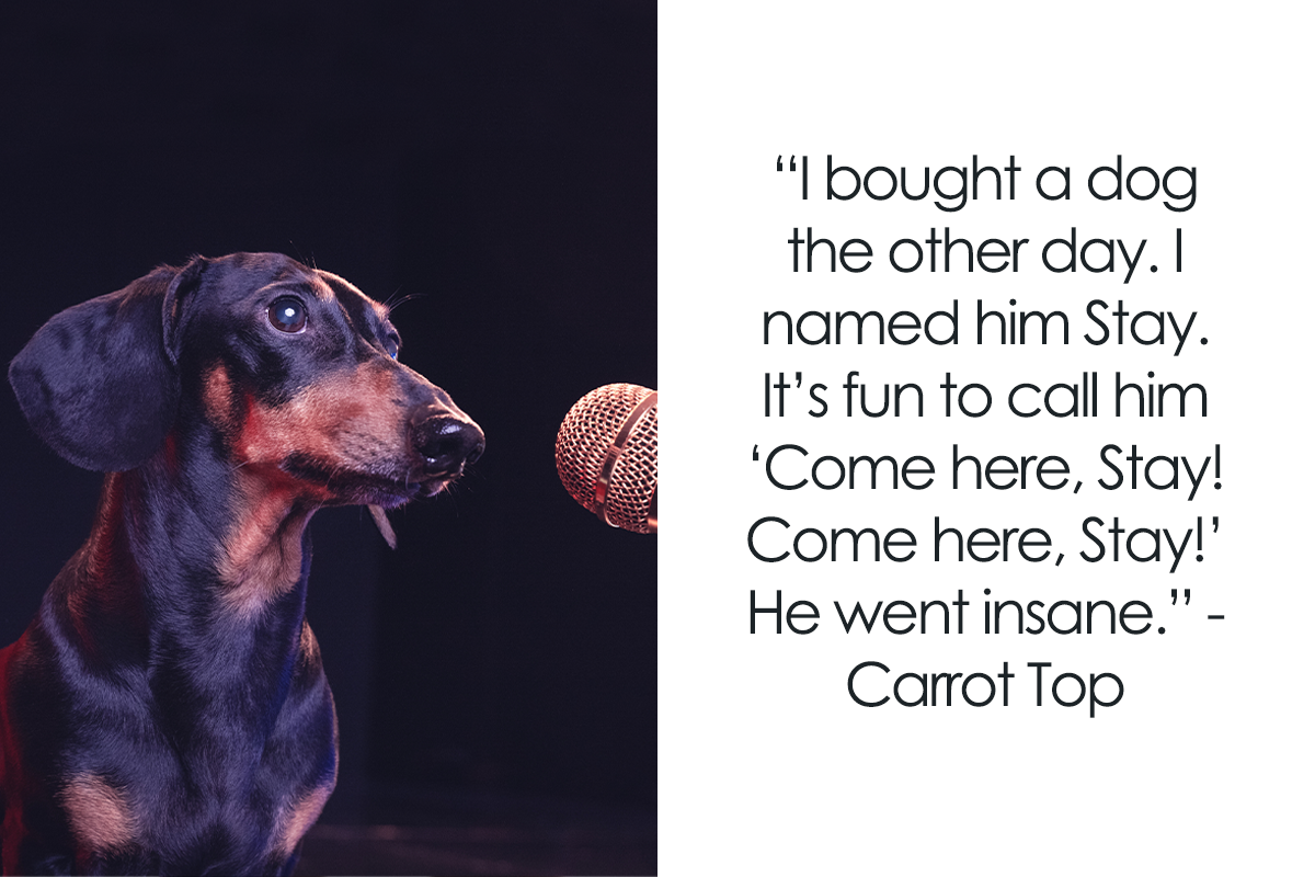 114 Stand-Up Comedy Jokes That Just Don't Disappoint | Bored Panda