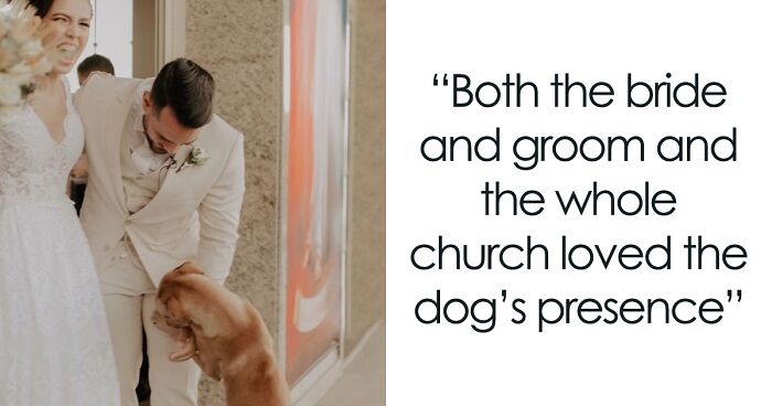 This Stray Dog Surprised This Couple By Greeting Them On Their Wedding Day, Ended Up Being Adopted