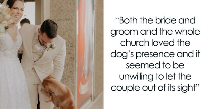 This Couple Was Pleasantly Surprised By A Stray Dog Who Came To Greet Them On Their Wedding Day, Decided To Adopt Him