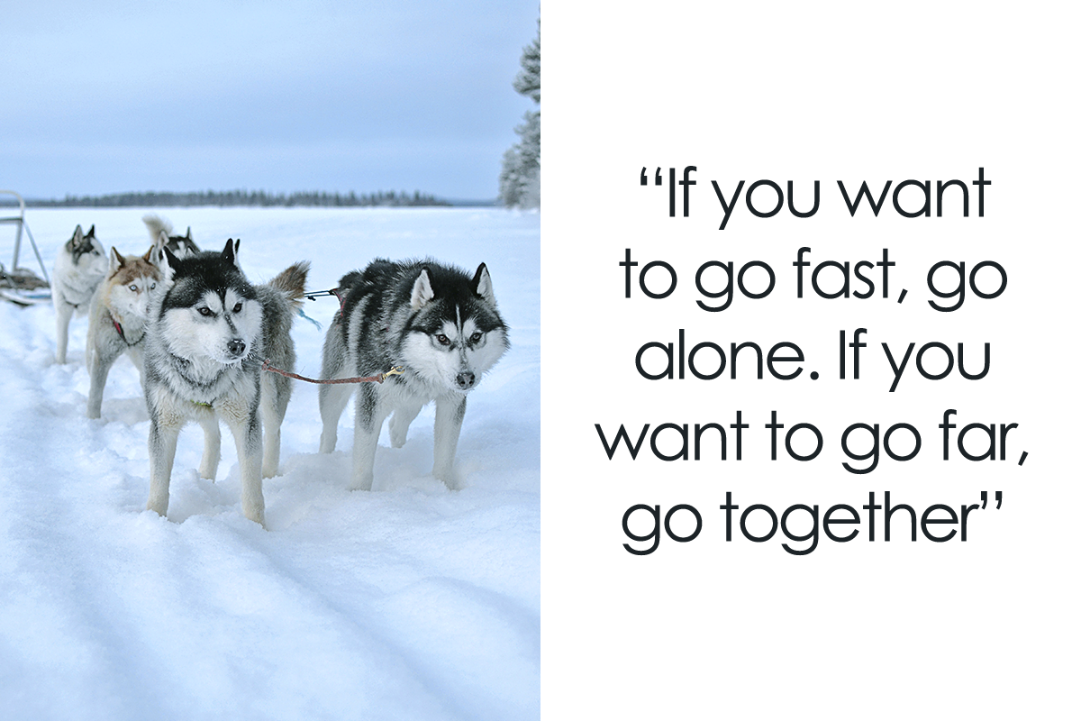 134 Best Teamwork Quotes That Will Inspire You To Work Hand In ...
