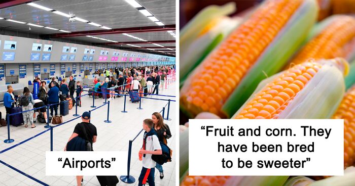 People Weigh In On 58 Things That Have Become Worse Compared With The Past