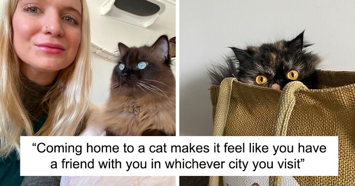 To Save Money, This Woman Takes Care Of Cats In The Homes She Stays In While Traveling