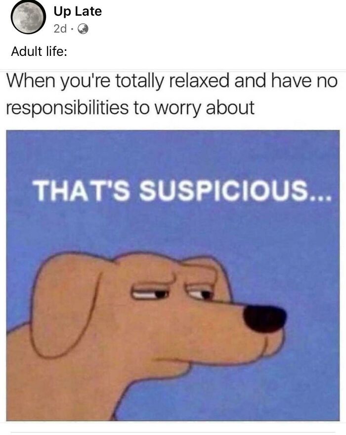 120 Hilarious Adulting Memes That Speak Only The Truth Page 4 Of 4 Success Life Lounge