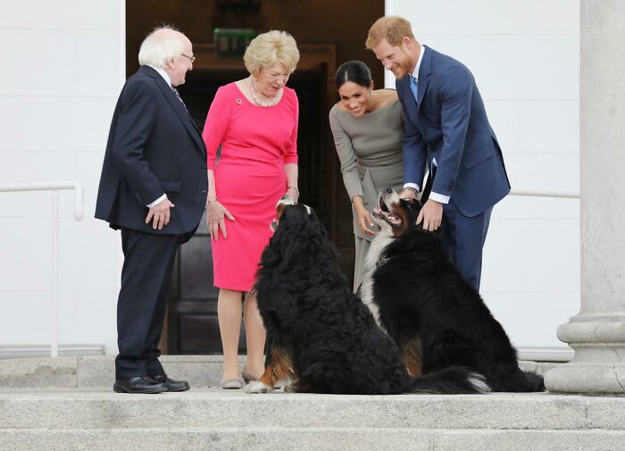 Meet Bród And Shadow, The President Of Ireland's Two Bodyguards