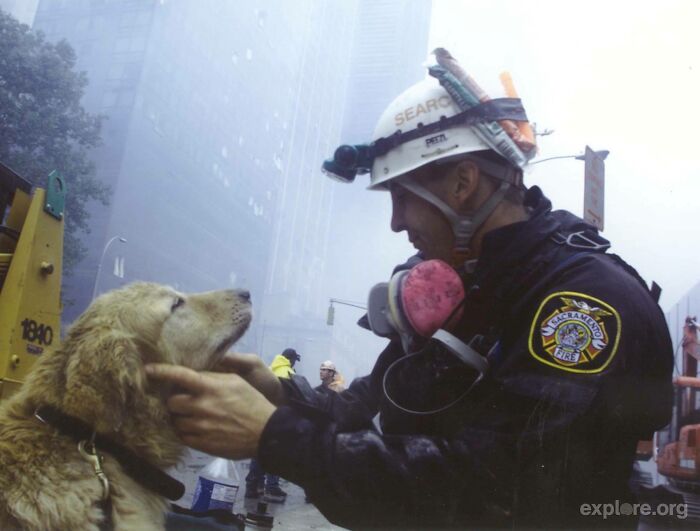 On 9/11, We Would Like To Honor The Men, Women, And K9s That Risked And Lost Their Lives