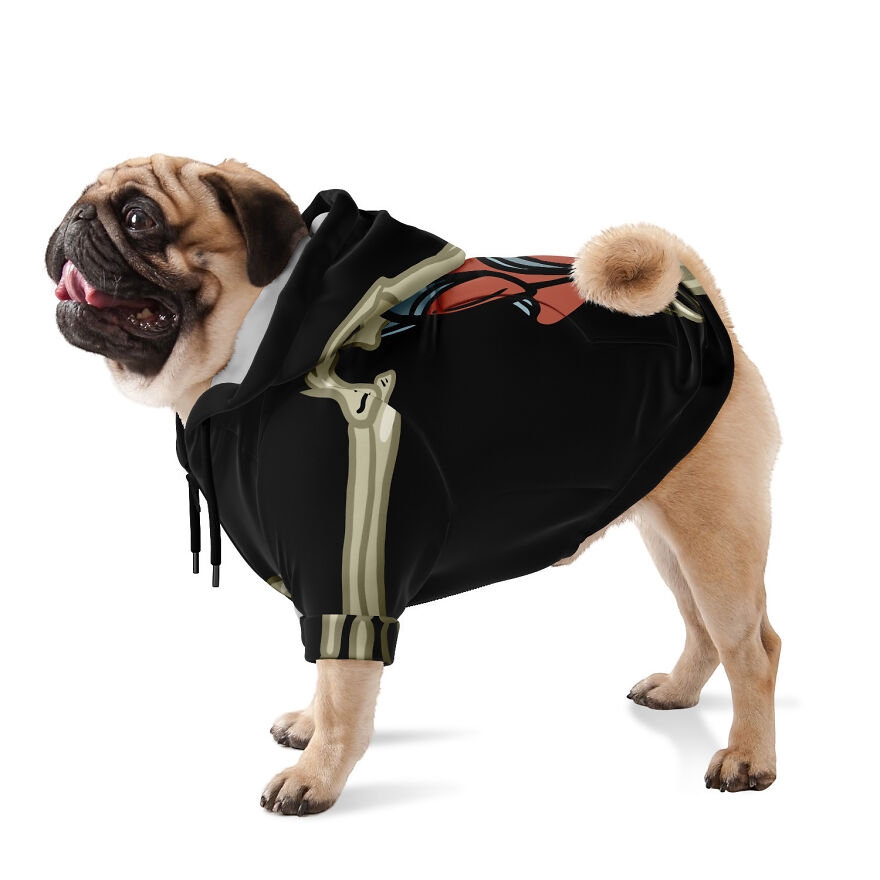 I Made Hiking Halloween Costumes For You And Your Dog