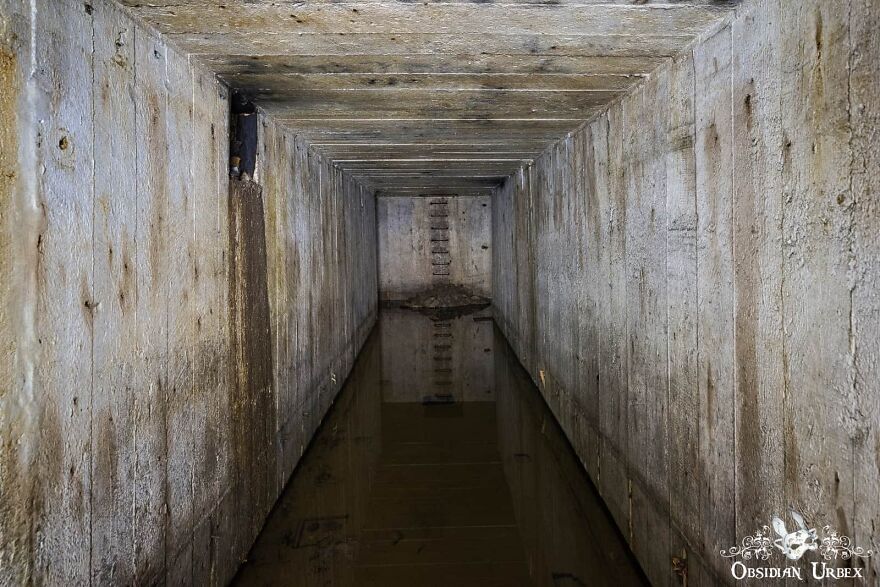 I Photographed This Old British WWII Air Raid Shelter—the Walls Lined With Portraits Of 1940s Women And Soldiers