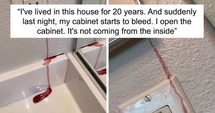 Woman Is Confused Why Her Wall Is Leaking With A Blood-Like Liquid, Asks The Internet For Help