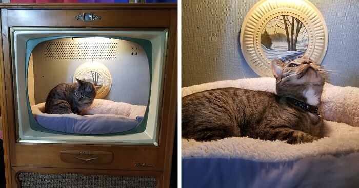 Dad Makes A Cat Bed For His Daughter's Feline From An Old TV, And It Hasn't Gone Unnoticed On The Socials