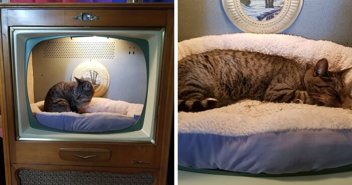 Dad Makes A Cat Bed For His Daughter's Feline From An Old TV, And It Hasn't Gone Unnoticed On The Socials