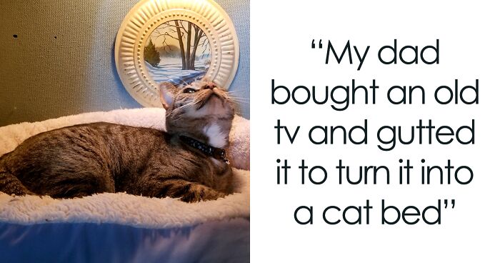 Here’s A Story About How This Girl’s Dad Made A Cat Bed Out Of An Old TV