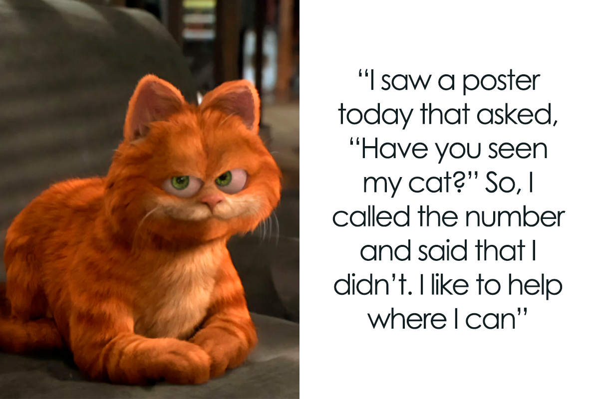 129 Cat Jokes That'll Have You Clawing For More