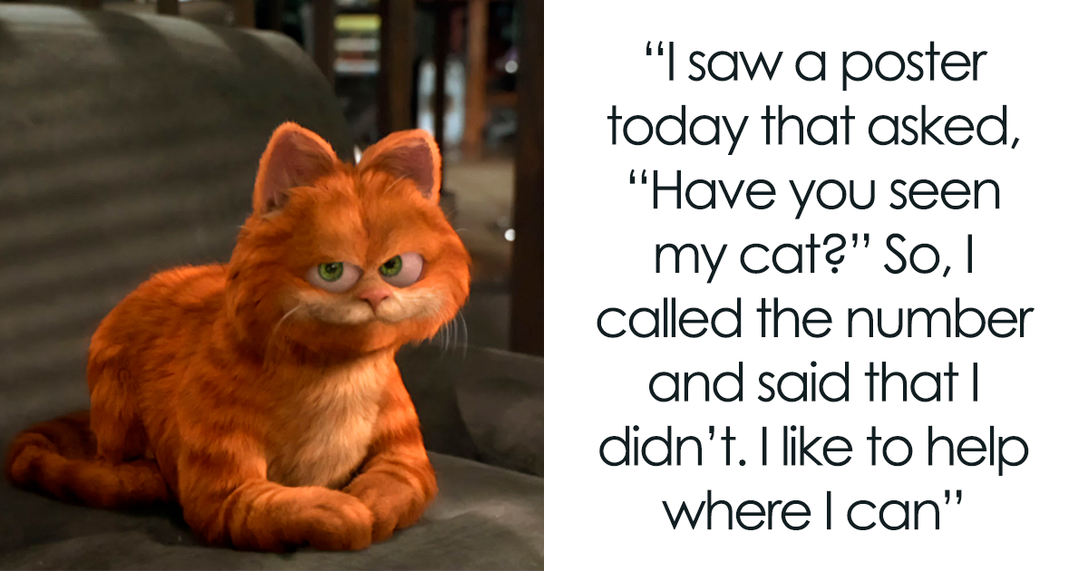 129 Cat Jokes That ll Have You Clawing For More Bored Panda