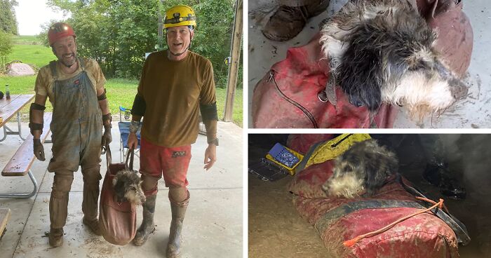 Poodle Reunites With Owner 2 Months After Disappearing As Cavers Find Her 500 Feet Underground