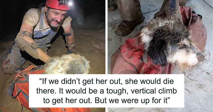 Poodle Reunites With Owner 2 Months After Disappearing As Cavers Find Her 500 Feet Underground