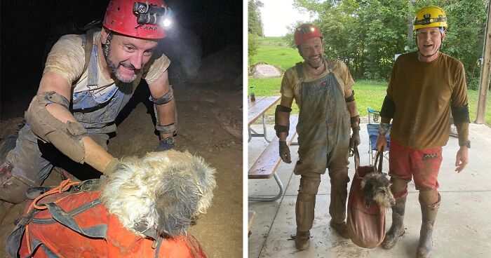 Poodle Reunites With Owner 2 Months After Disappearing As Cavers Find Her 500 Feet Underground