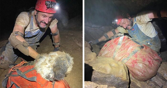 People Online Celebrate The Rescue Of Abby The Poodle After She’d Been Stuck 500 Feet Underground For 2 Months