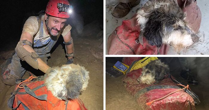 Poodle Reunites With Owner 2 Months After Disappearing As Cavers Find Her 500 Feet Underground