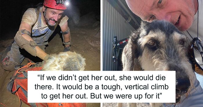 Poodle Reunites With Owner 2 Months After Disappearing As Cavers Find Her 500 Feet Underground