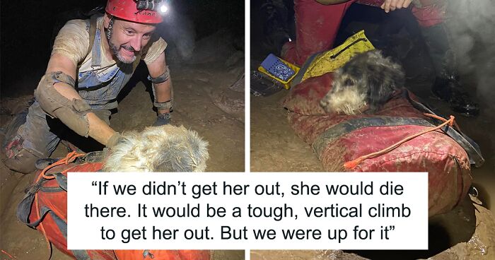 “Abby Was Too Weak To Wag Her Tail”: Missing Pup Found 500 Feet Underground Gets Rescued And Returned Home