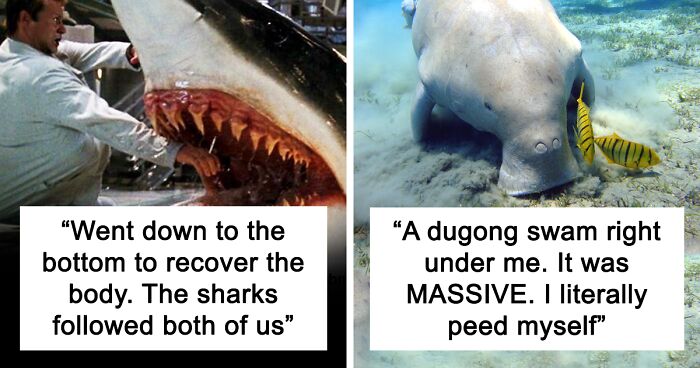 Water Lovers Share 74 Scary Things They've Found While Diving That They Can't Explain