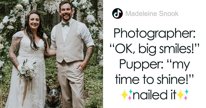 Wedding Photographer Accidentally Captures Pup’s Incredible Grimace During Shoot