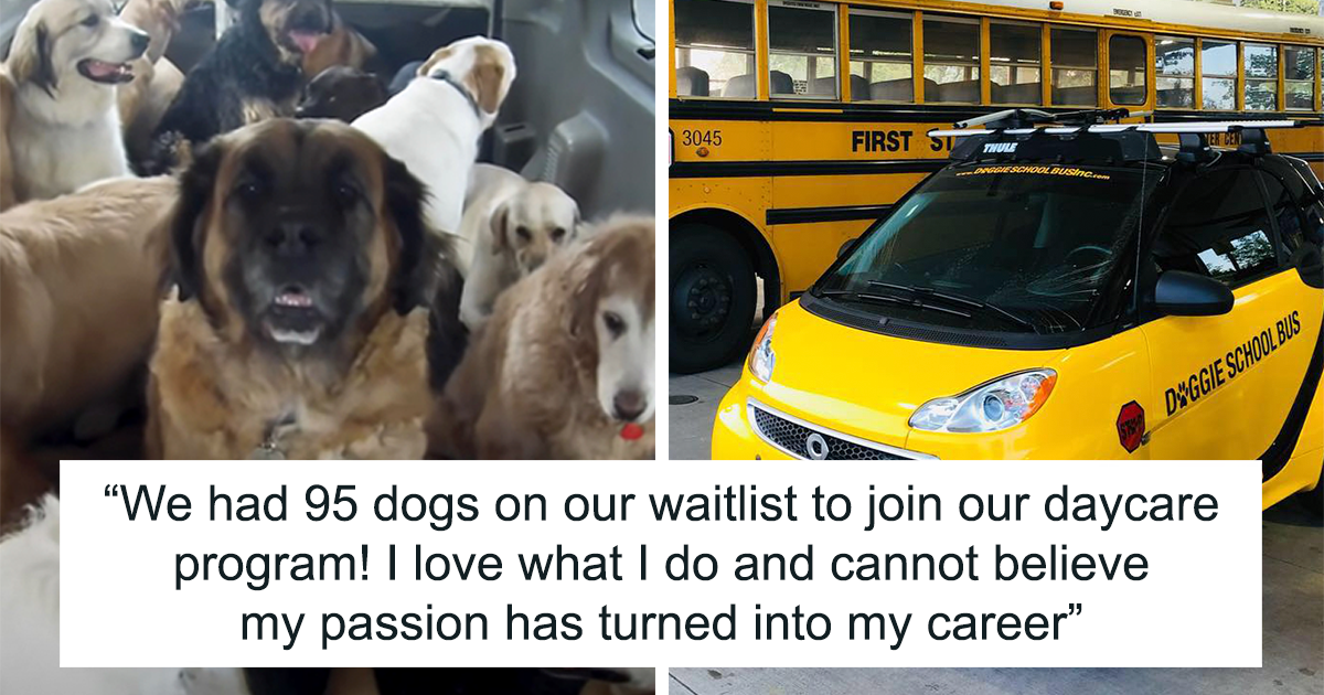 https://www.boredpanda.com/blog/wp-content/uploads/2022/08/doggy-school-bus-dog-daycare-fb3.png