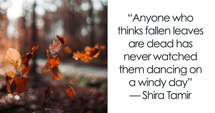 118 Fall Quotes That Might Make You Fall In Love With The Season