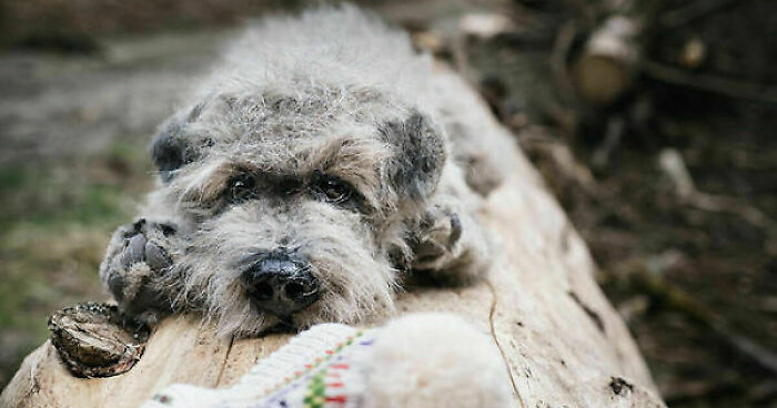 I'm Making Animal Dolls Out Of Faux Fur, And It's Both Ethical And Cute (32 Pics)