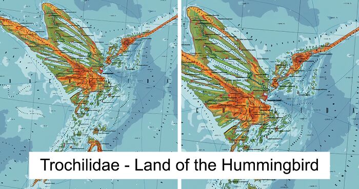 I Create Fictional Maps Inspired By Nature And Animals (29 Pics)