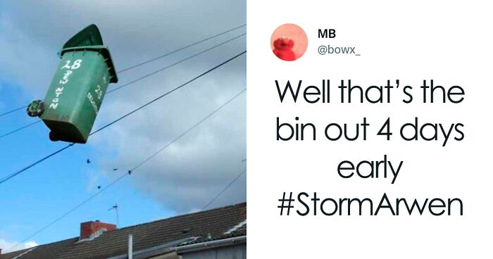 39 Funny “British Moments” All Brits Might Relate To