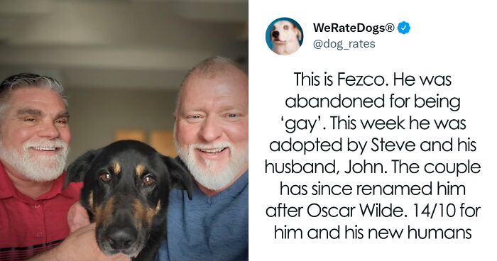 This Twitter Account Rates 120 Dogs And It’s Hilarious (New Pics)