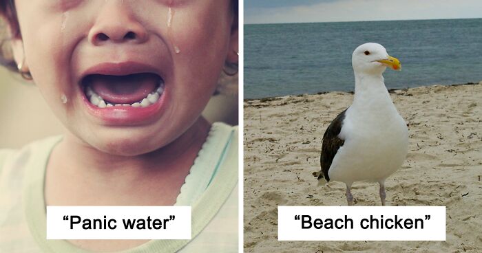 90 Times Kids Cracked Adults Up With Hilariously Accurate ‘Alternative’ Names For Things