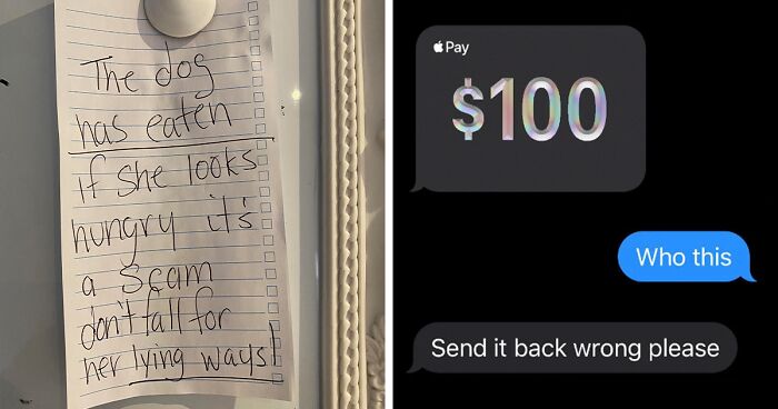 96 Times People Received Such Ridiculous Scam Messages, They Just Had To Laugh And Shame Them Online (New Pics)