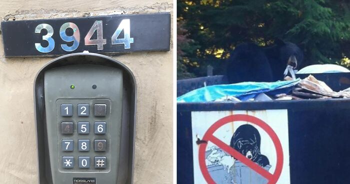 ‘Error: Security Not Found’: 90 Of The Most Hilarious Security Fails Ever Documented