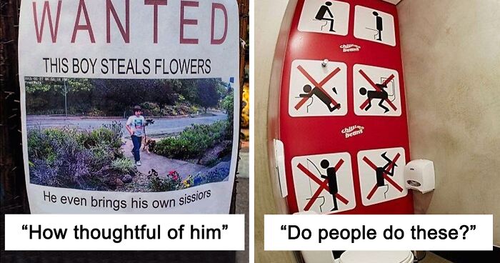 77 Hilarious And Absurd Signs, As Shared On This Twitter Thread