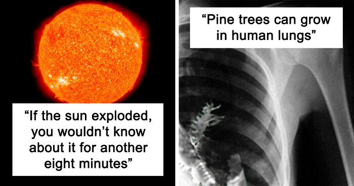 70 Haunting Facts You May Have Never Heard Before, As Shared By This TikToker