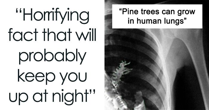 70 Interesting But Pretty Disturbing Facts, As Shared By This TikToker