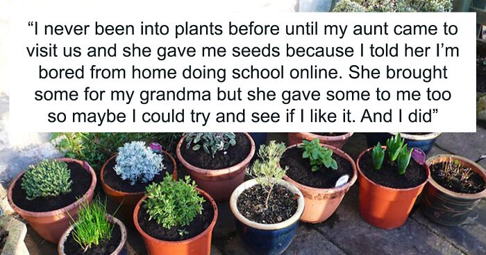 “It Made Me Wanna Cry”: 16 Y.O. Continues To Not Talk To His Dad Even On His Birthday After He Threw Out All Of His Son’s Plants