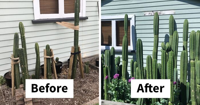 50 Of The Best Pics From The ‘Gardening’ Online Group (New Pics)