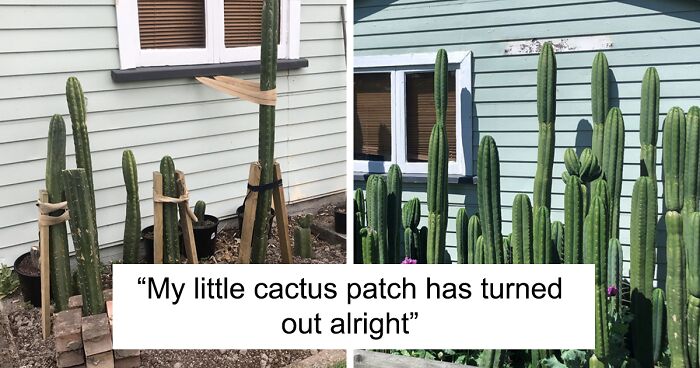 50 Of The Best Pics From The ‘Gardening’ Online Group (New Pics)